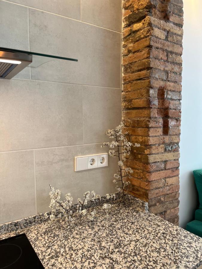 Appartement Cal Lleuger à Guardiola de Bergueda Extérieur photo