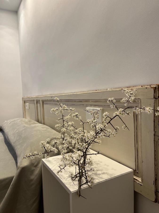 Appartement Cal Lleuger à Guardiola de Bergueda Extérieur photo
